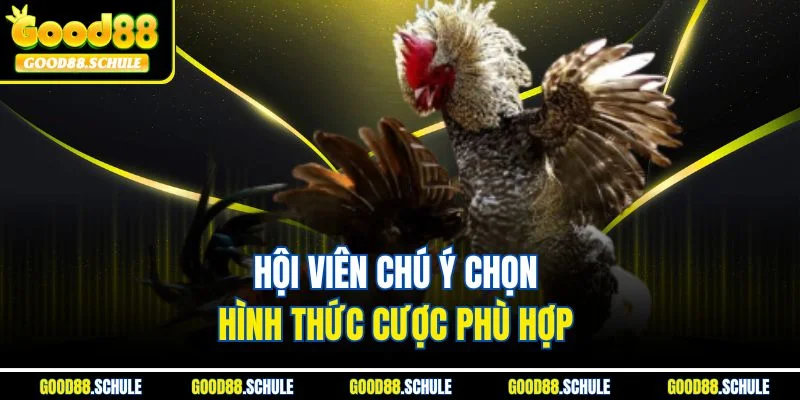 Hội viên chú ý chọn hình thức cược phù hợp 