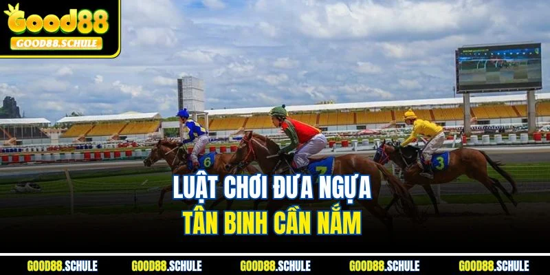 Luật chơi đưa ngựa tân binh cần nắm