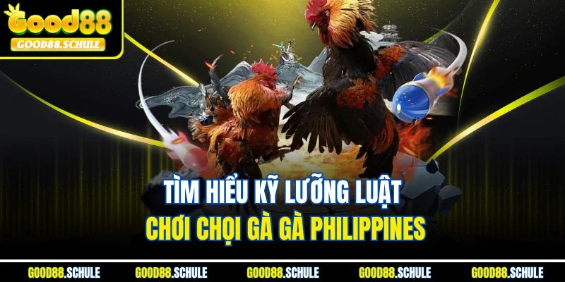 Tìm hiểu kỹ lưỡng luật chơi chọi gà gà Philippines